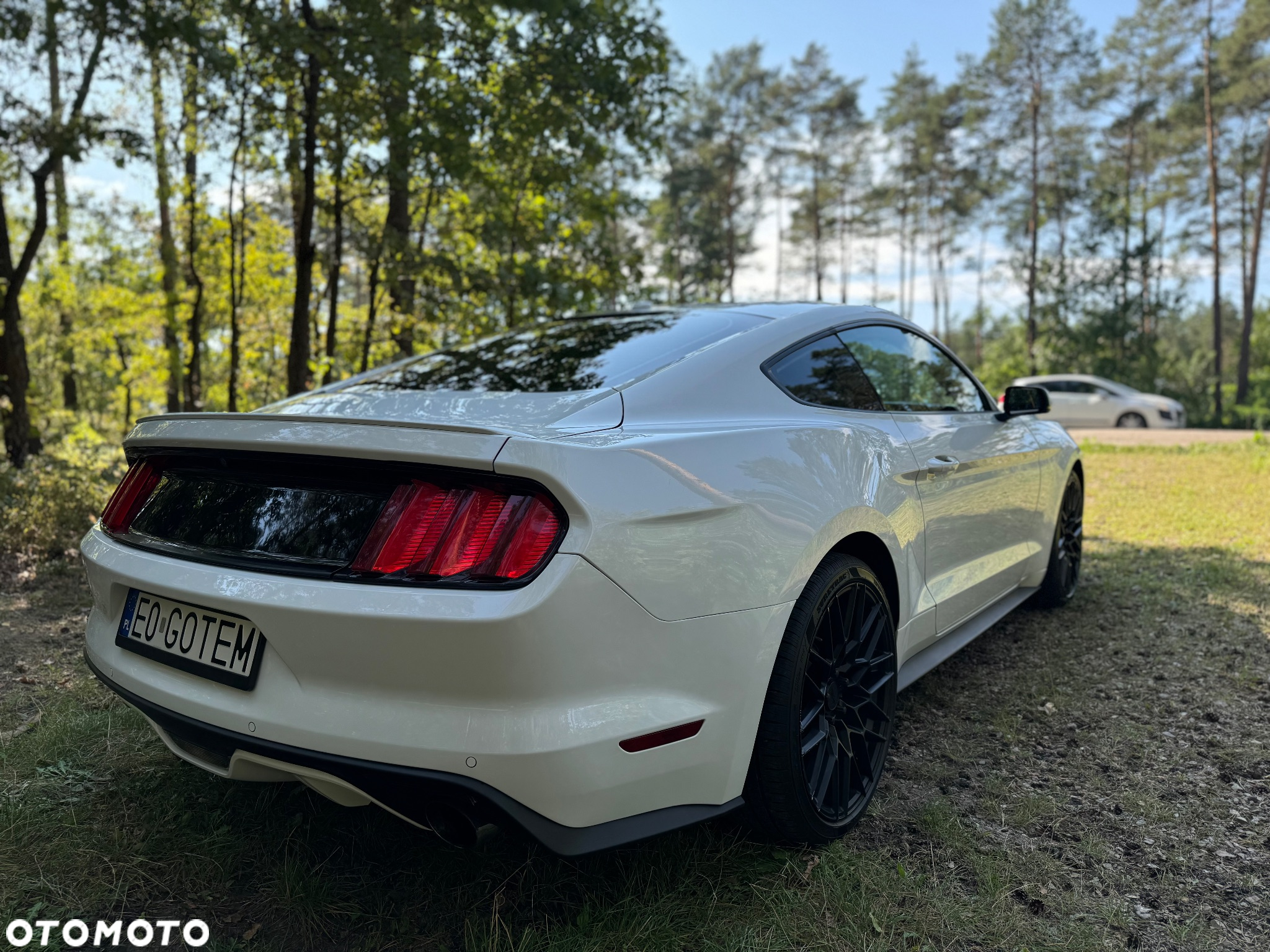 Ford Mustang - 3