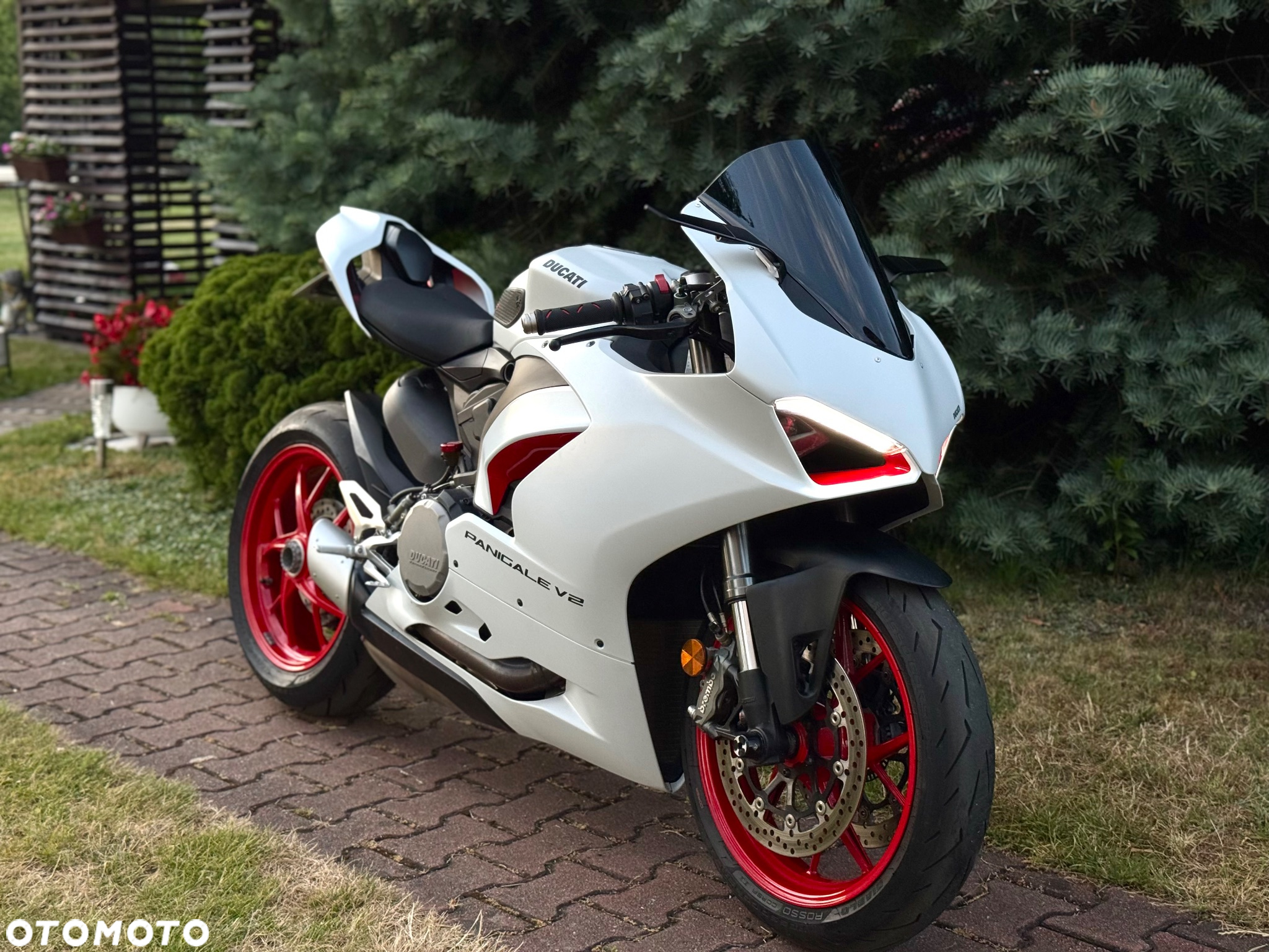 Ducati Panigale V2 - 5