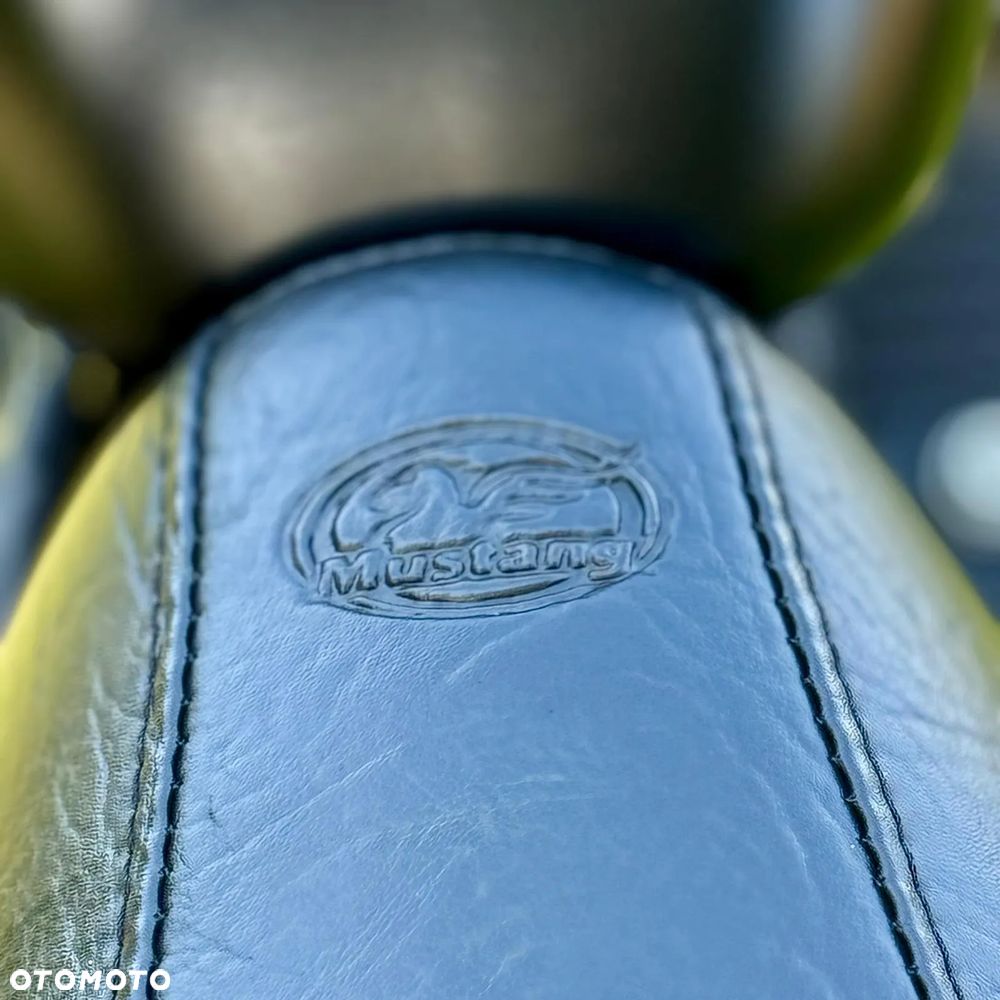 Harley-Davidson Sportster Iron 883 - 12