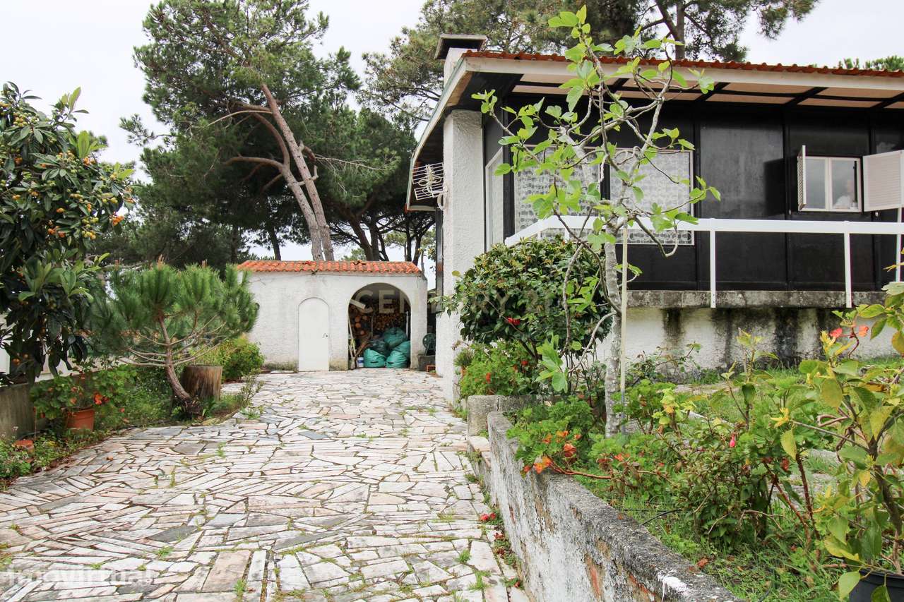 Casa de Madeira T2, em lote com 400m2, na Lagoa de Albufeira - Grande imagem: 2/39