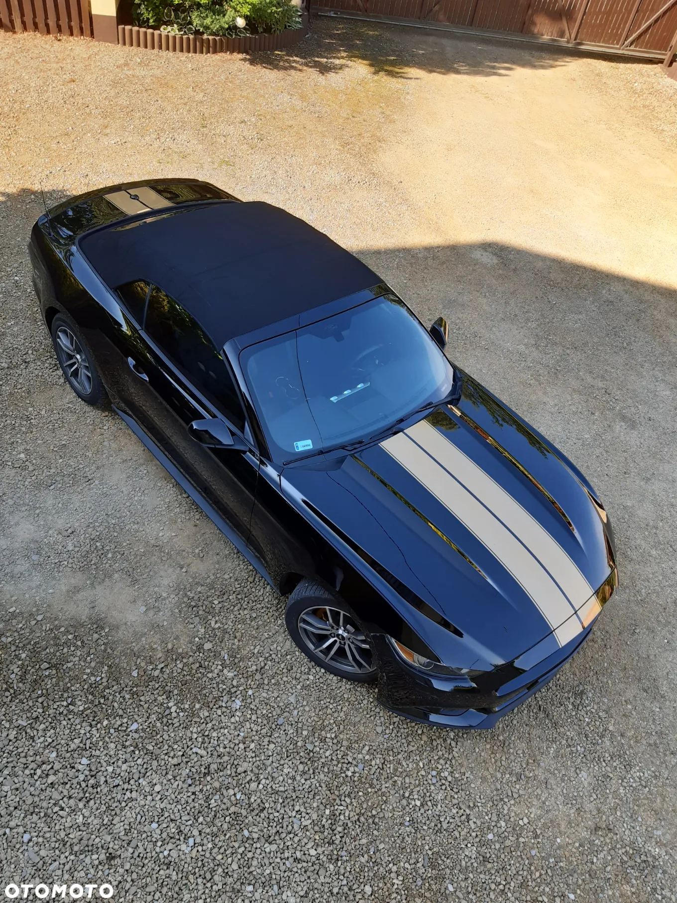 Ford Mustang Cabrio 2.3 Eco Boost - 19