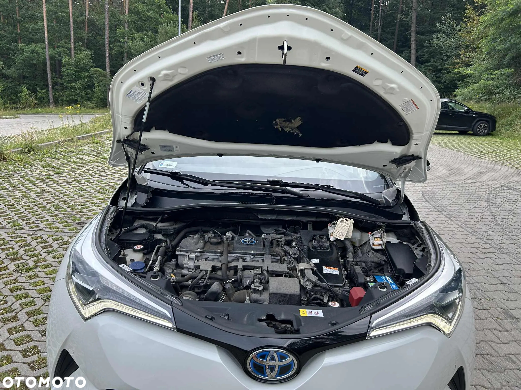 Toyota C-HR 1.8 Hybrid Selection - 14