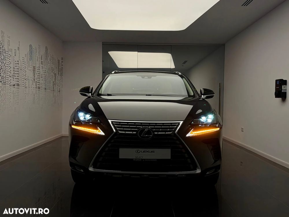 Lexus Seria NX 300h AWD Luxury - 4