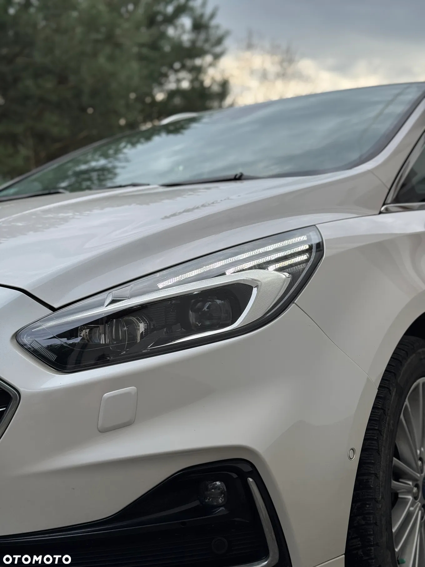 Ford S-Max 2.0 EcoBlue Vignale - 7