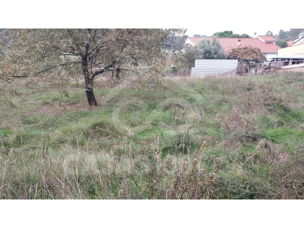 Terreno para Venda - Grande imagem: 5/5