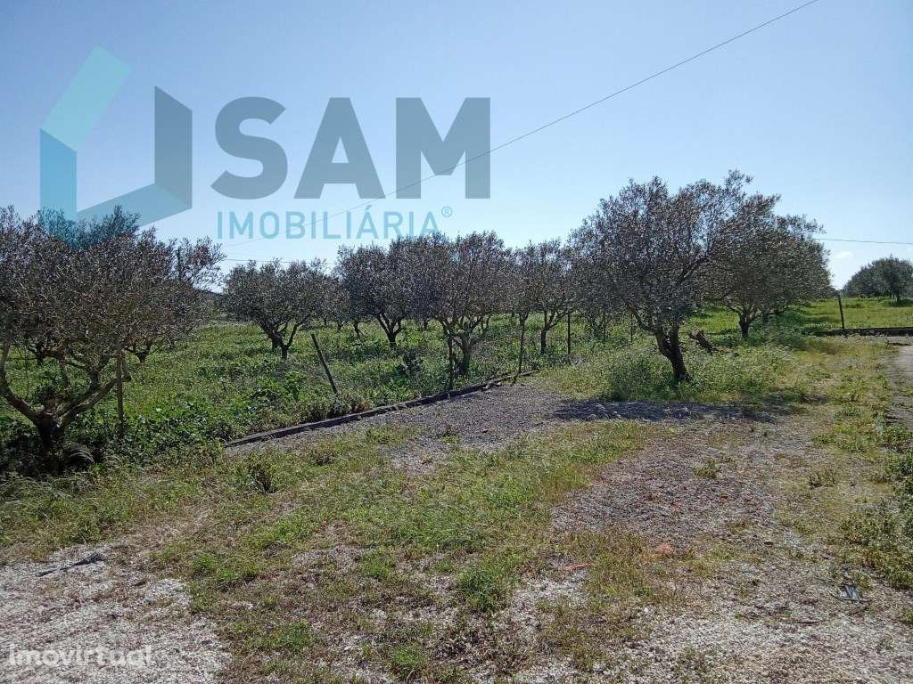 Terreno para construção, junto do Cadaval - Grande imagem: 2/5