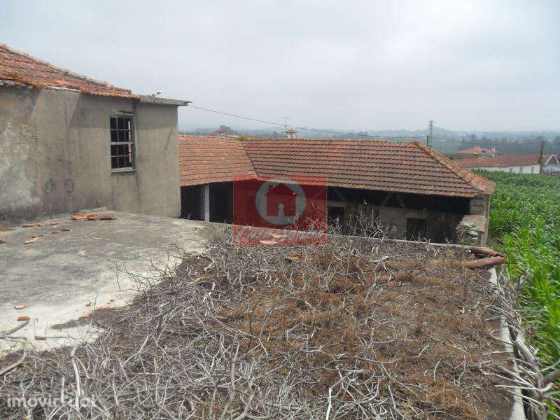 Quinta, para venda, Póvoa de Varzim - Rates - Grande imagem: 2/12