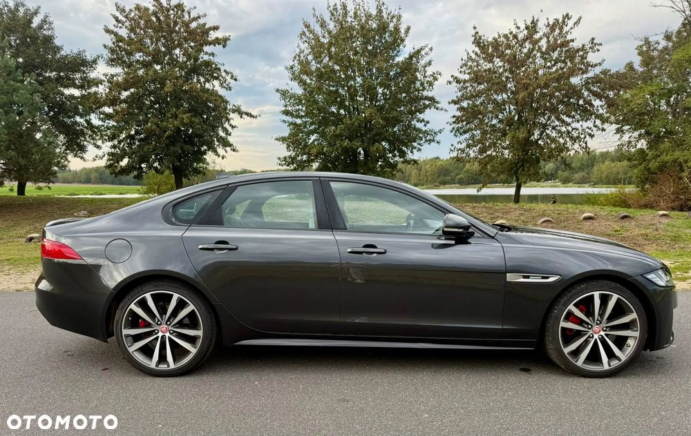 Jaguar Xf 2016 photo 5