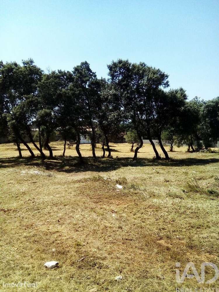 Terreno em Malhou, Louriceira e Espinheiro de 5620,00 m2 - Grande imagem: 2/18
