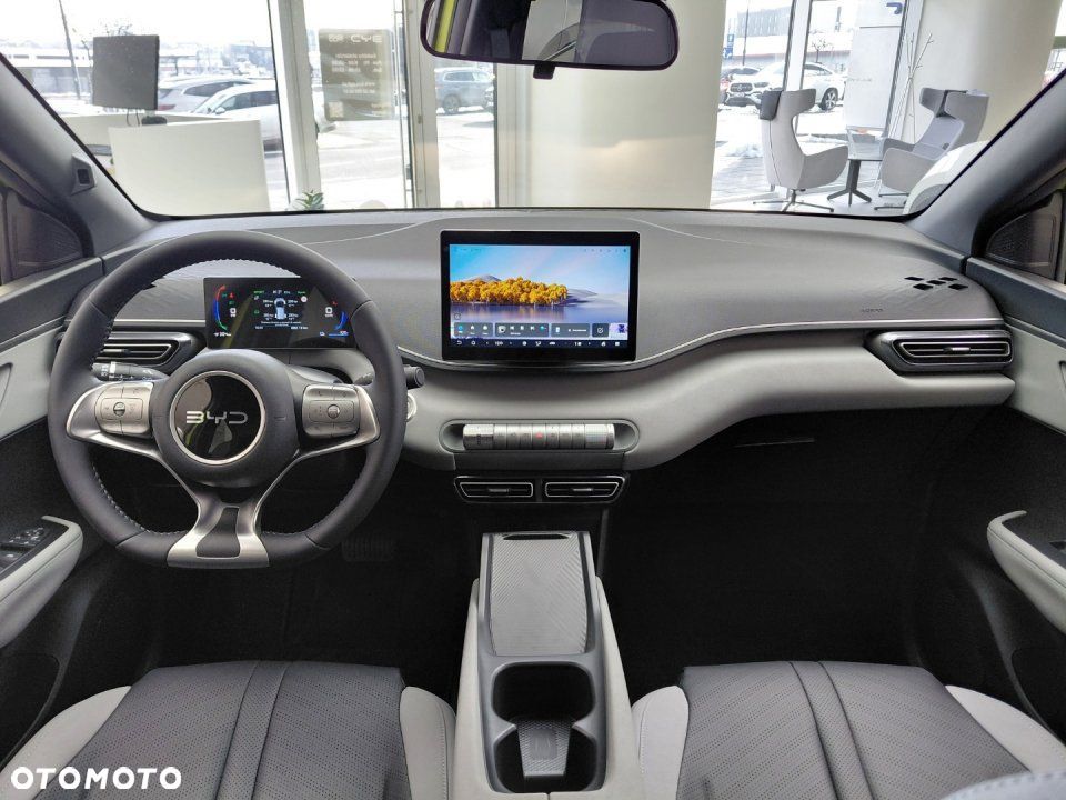 BYD Dolphin Surf - 14
