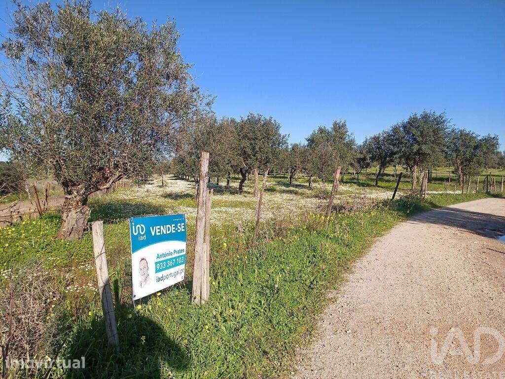 Terreno em Galveias de 20120,00 m2