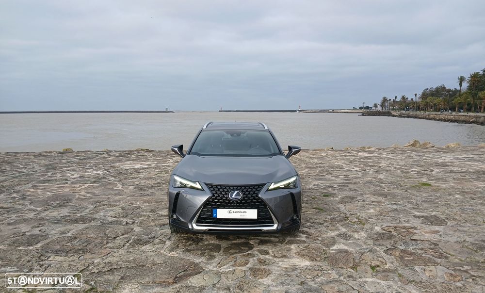Lexus UX 300e Luxury - 10