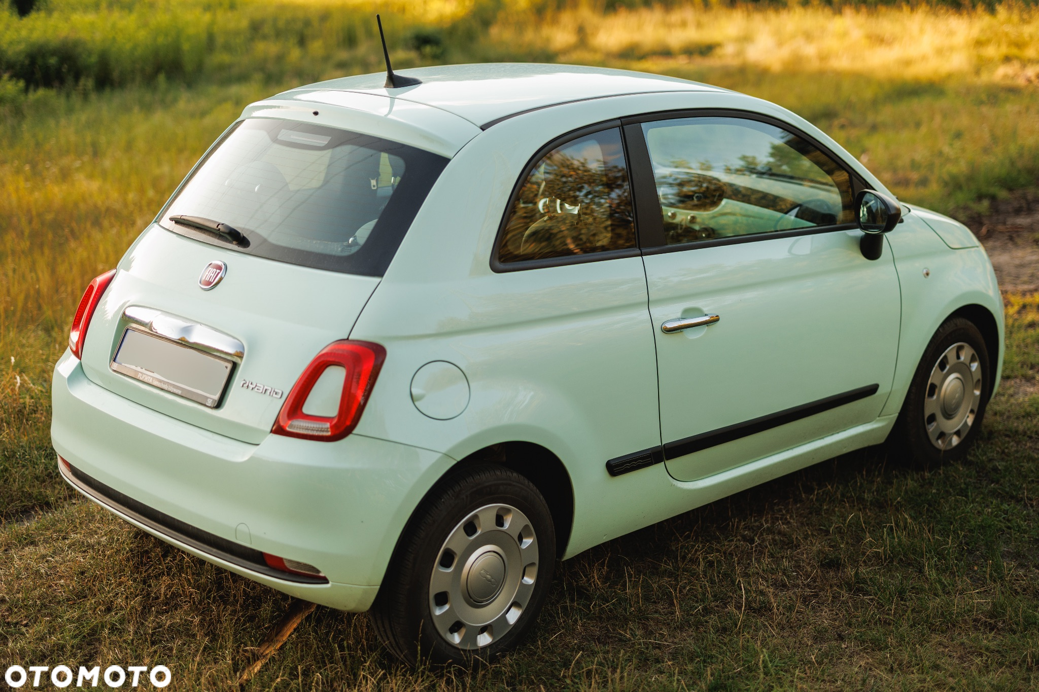 Fiat 500 1.0 Hybrid Pop - 7
