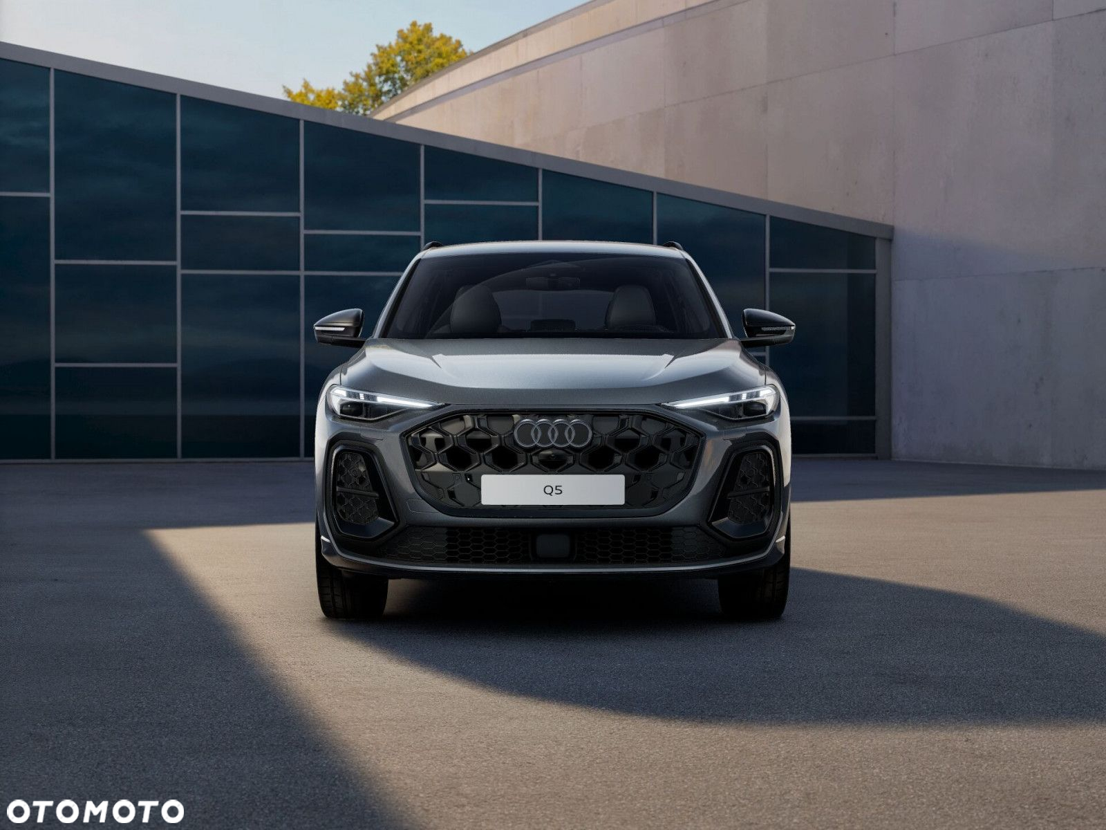 Audi Q5 - 2