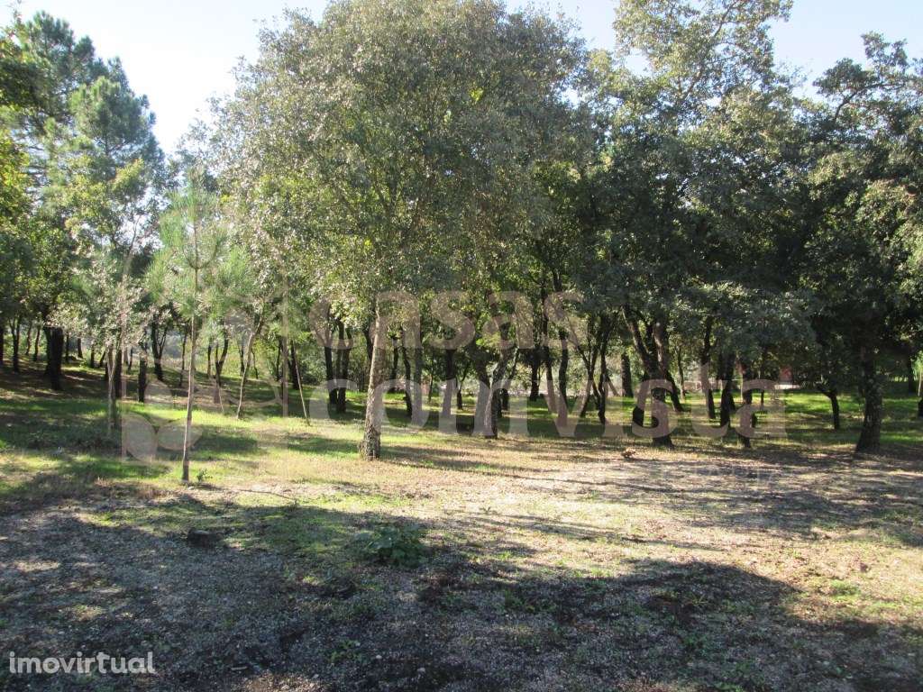 Terreno - Grande imagem: 2/12