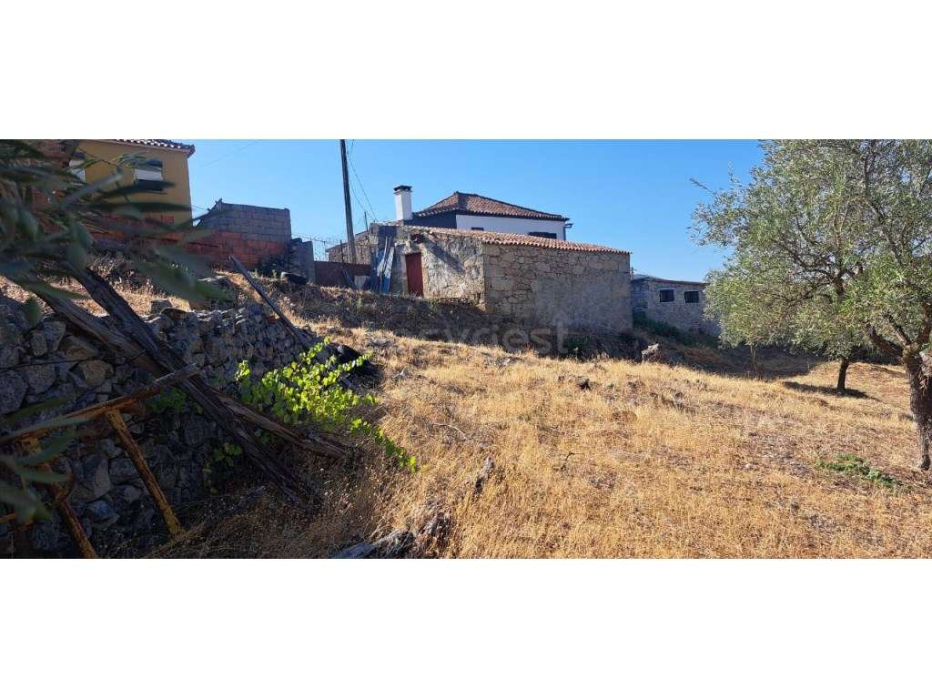 Terreno de 2 Ha, em Foz do Sabor, Torre de Moncorvo. - Grande imagem: 3/12