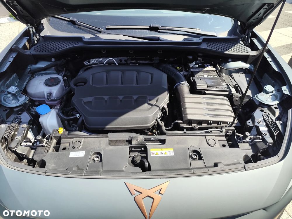 Cupra Formentor 2.0 TSI 4Drive DSG VZ Extreme - 19