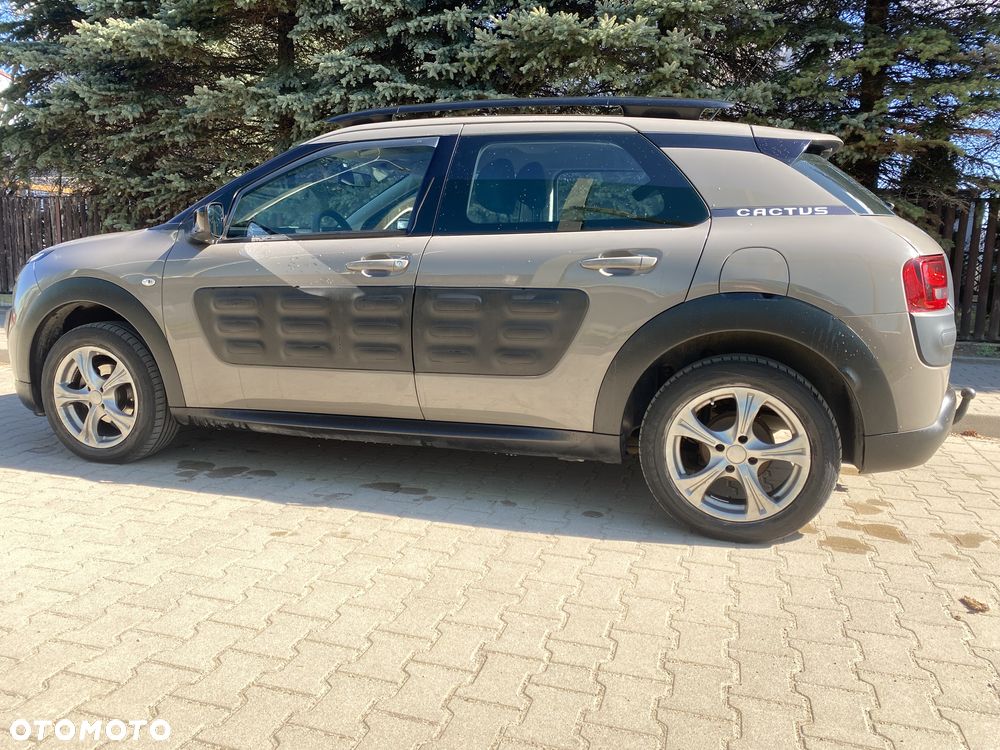 Citroën C4 Cactus 1.2 PureTech Shine Edition S&S ETG - 6