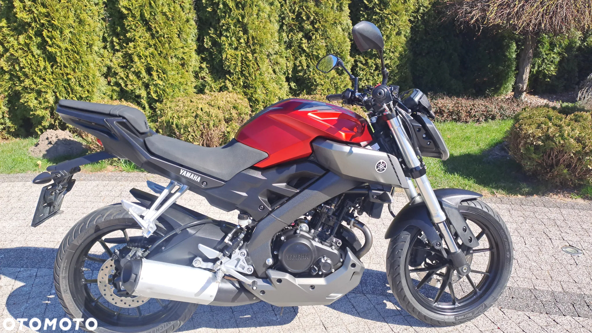Yamaha MT - 3