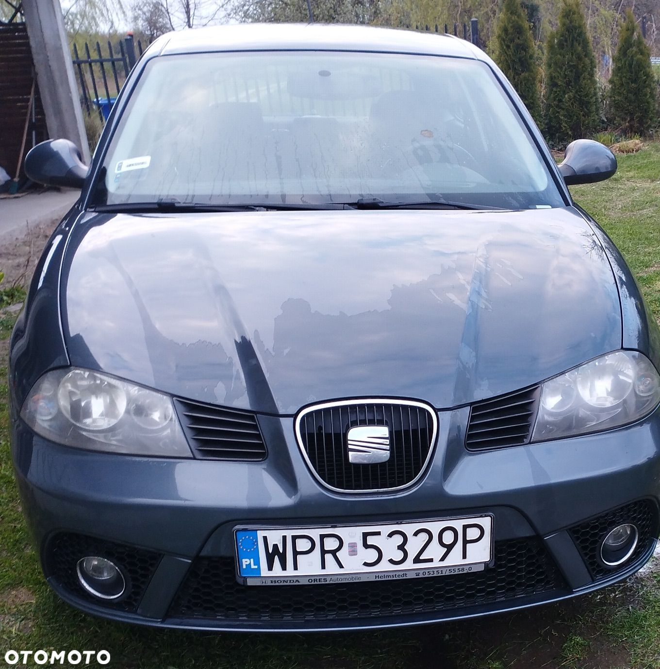 Seat Ibiza - 1