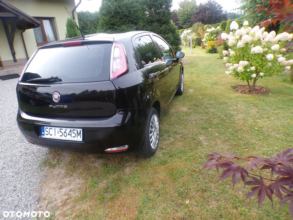 Fiat Punto - 3