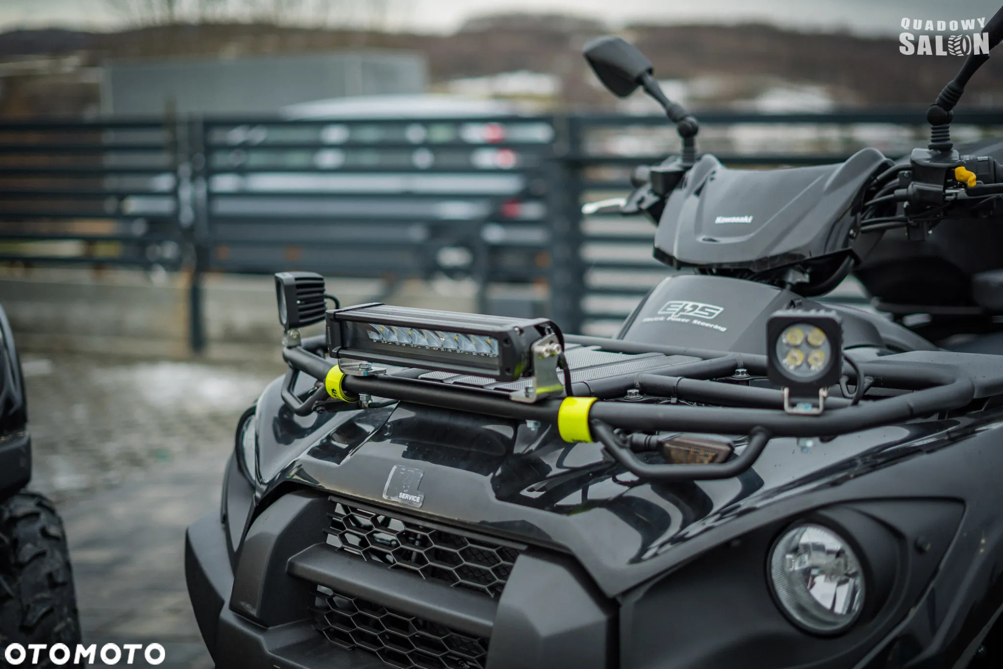 Kawasaki Brute Force - 33