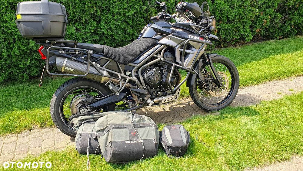 Triumph Tiger - 19