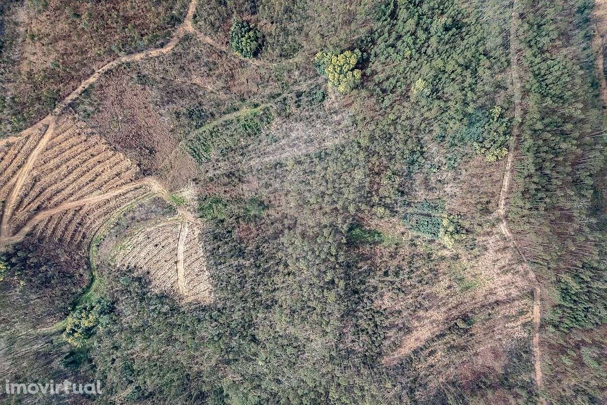 Terreno  para venda - Grande imagem: 2/10