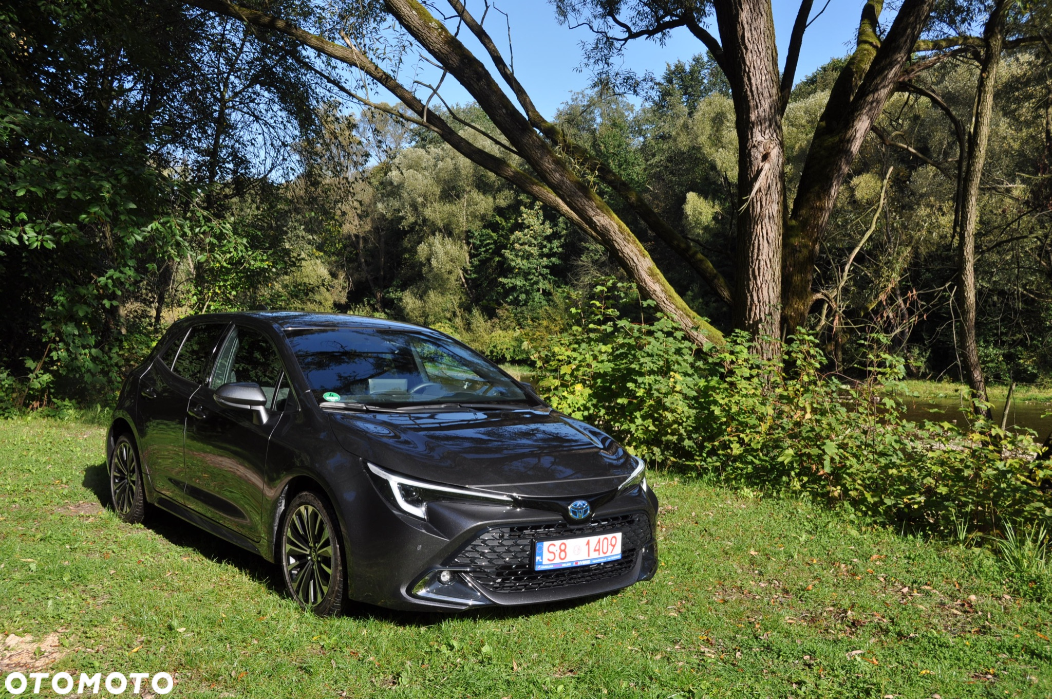 Toyota Corolla - 29