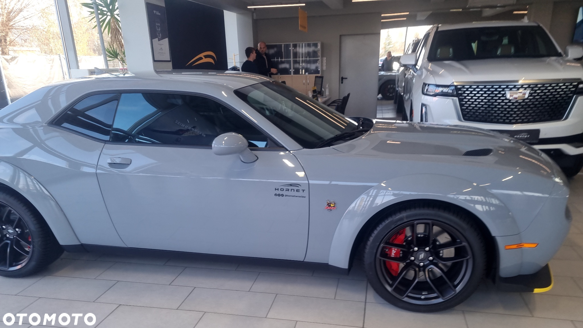 Dodge Challenger 6.4 Scat PackWidebody - 10
