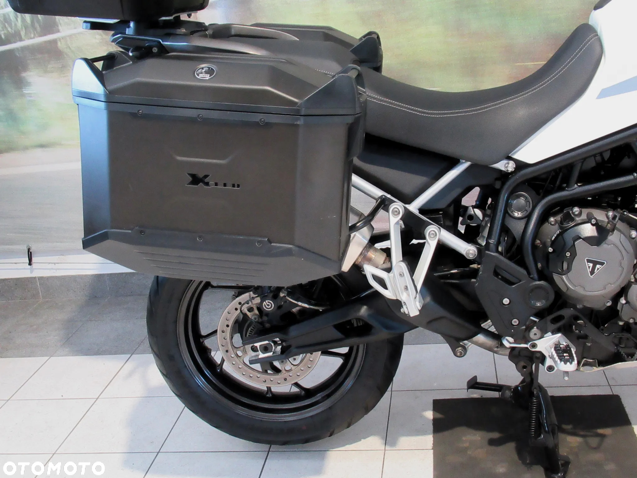 Triumph Tiger - 17