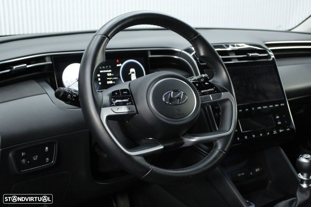 Hyundai Tucson 1.6 CRDi Vanguard - 21