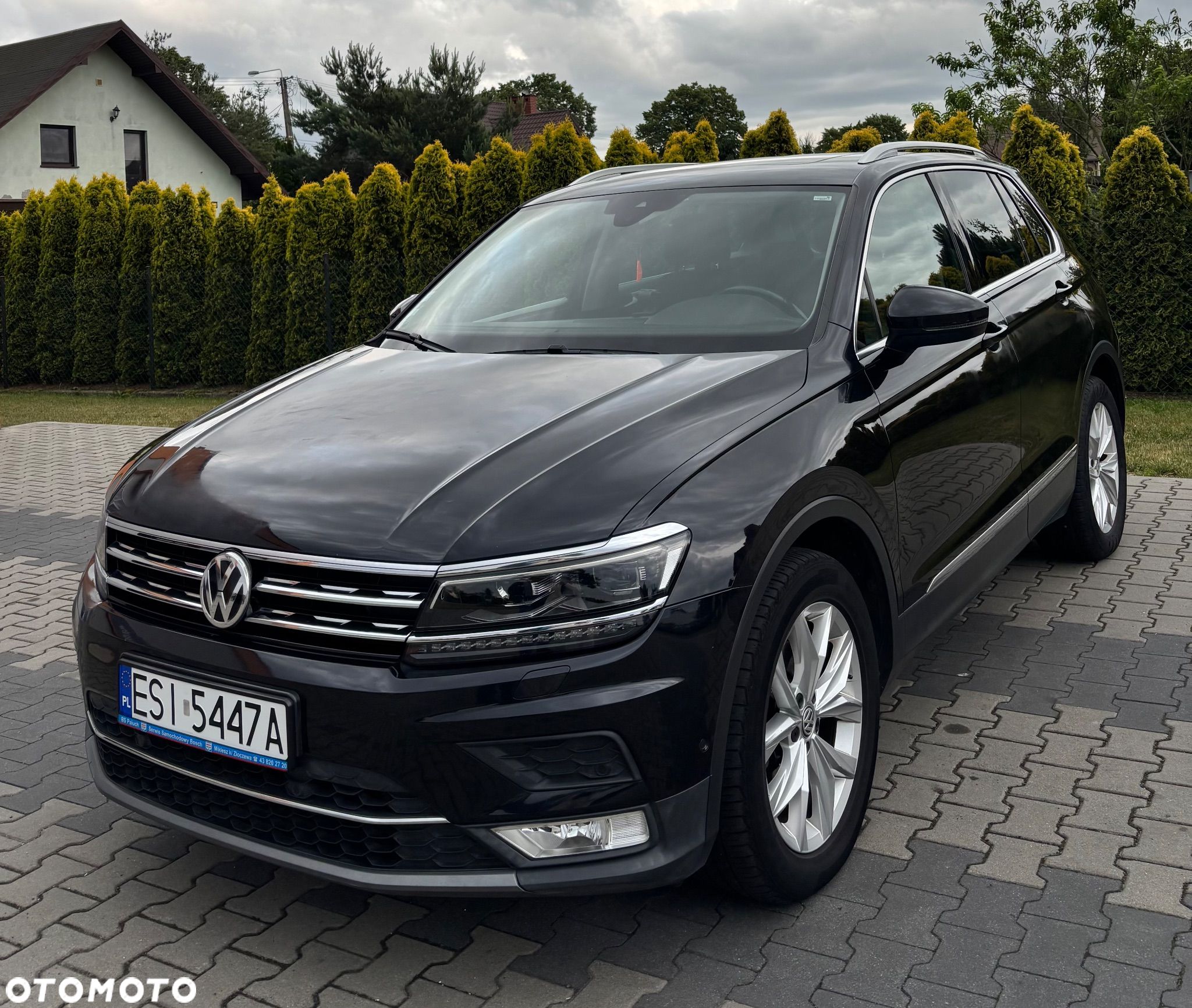 Volkswagen Tiguan - 1