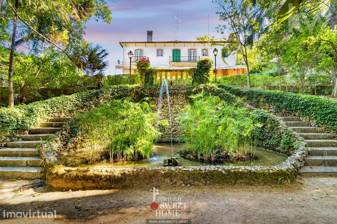 Herdade com 4,5 ha, Casa T6 c/piscina, garagem no centro Torres novas - Grande imagem: 2/60