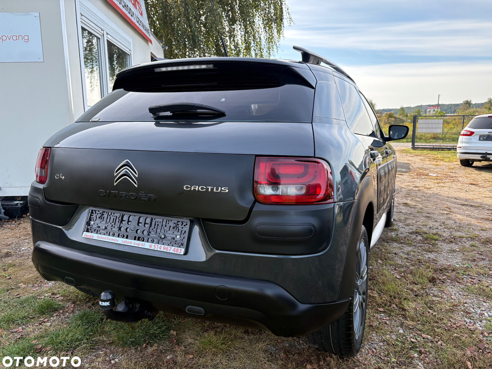Citroën C4 Cactus 1.6 e-HDi Shine ETG - 15