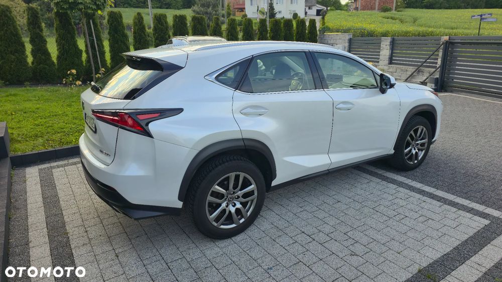 Lexus NX 300 Business Edition AWD - 14