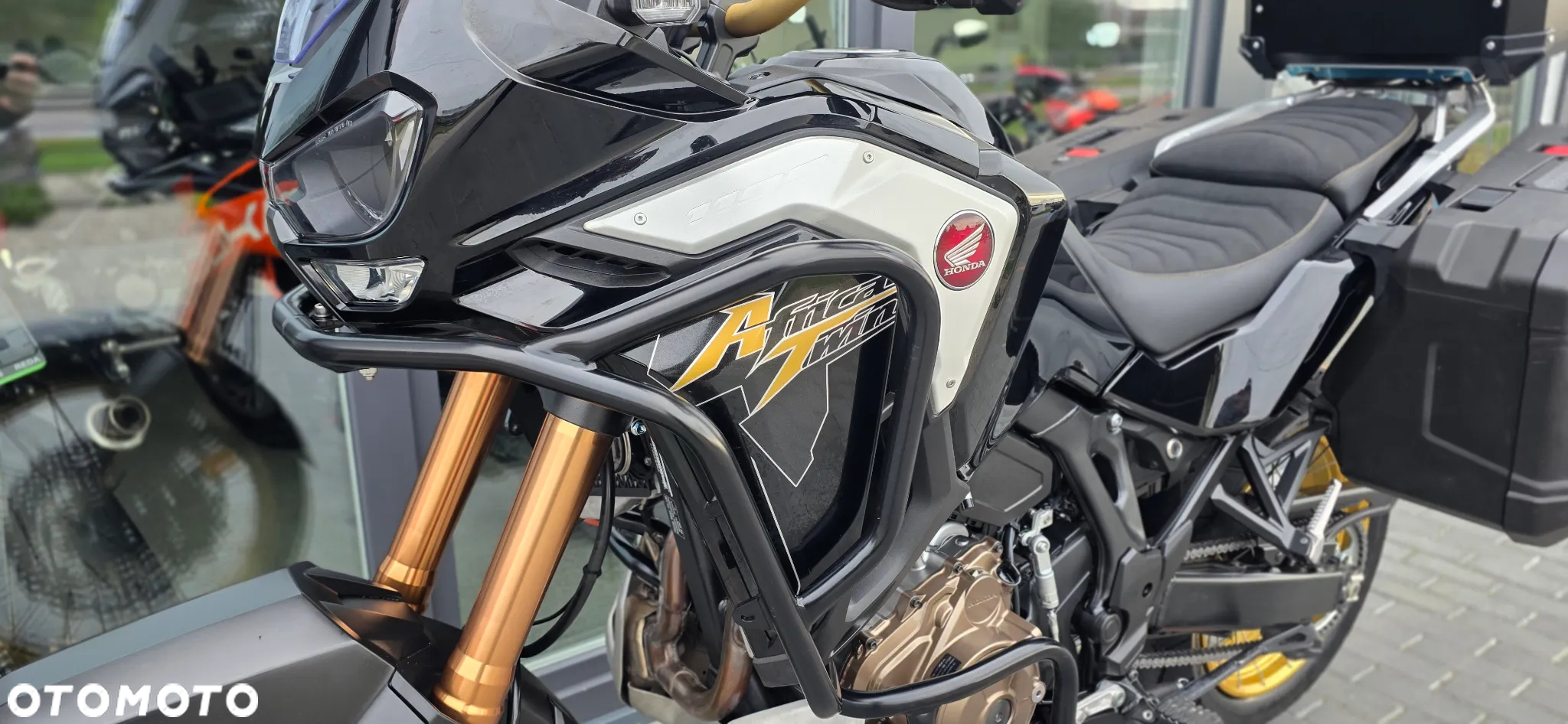 Honda CRF - 31