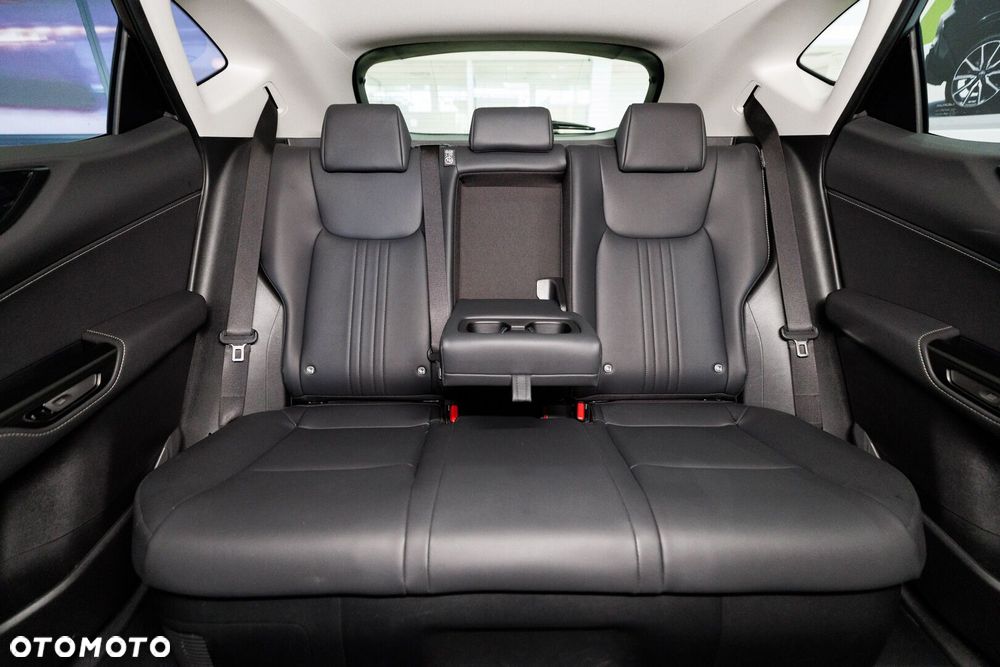 Lexus NX - 18