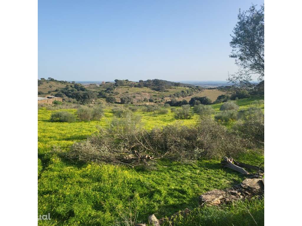 Quinta com ruina, em Monsaraz - Grande imagem: 4/29