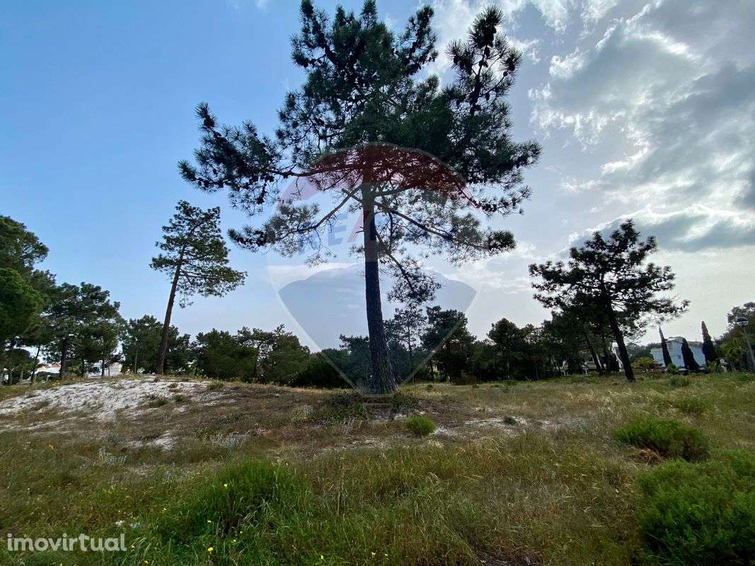 Terreno  para venda - Grande imagem: 5/14