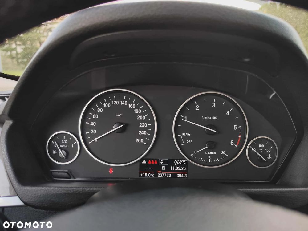 BMW Seria 3 318d Blue Performance - 31