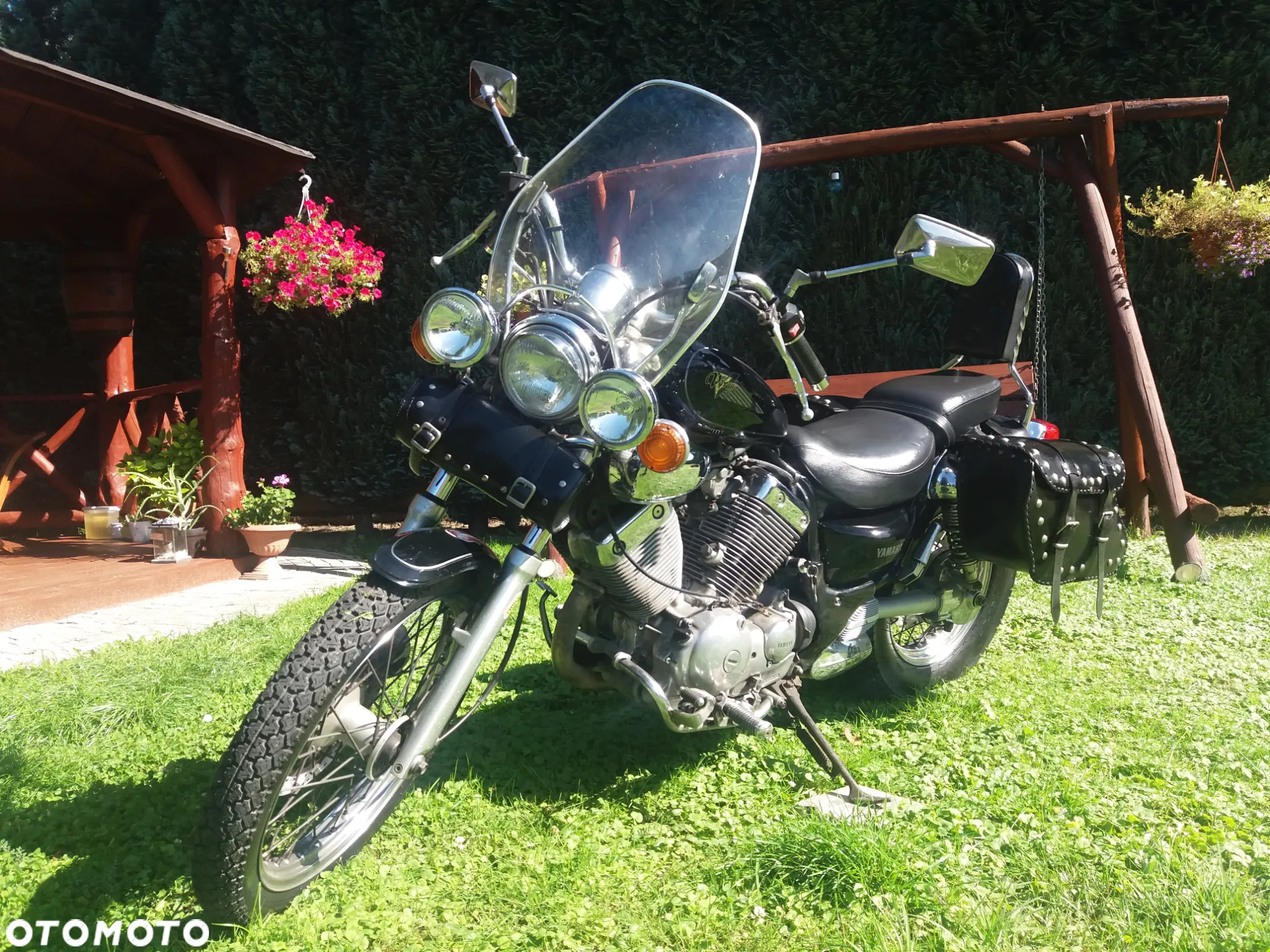 Yamaha Virago - 3