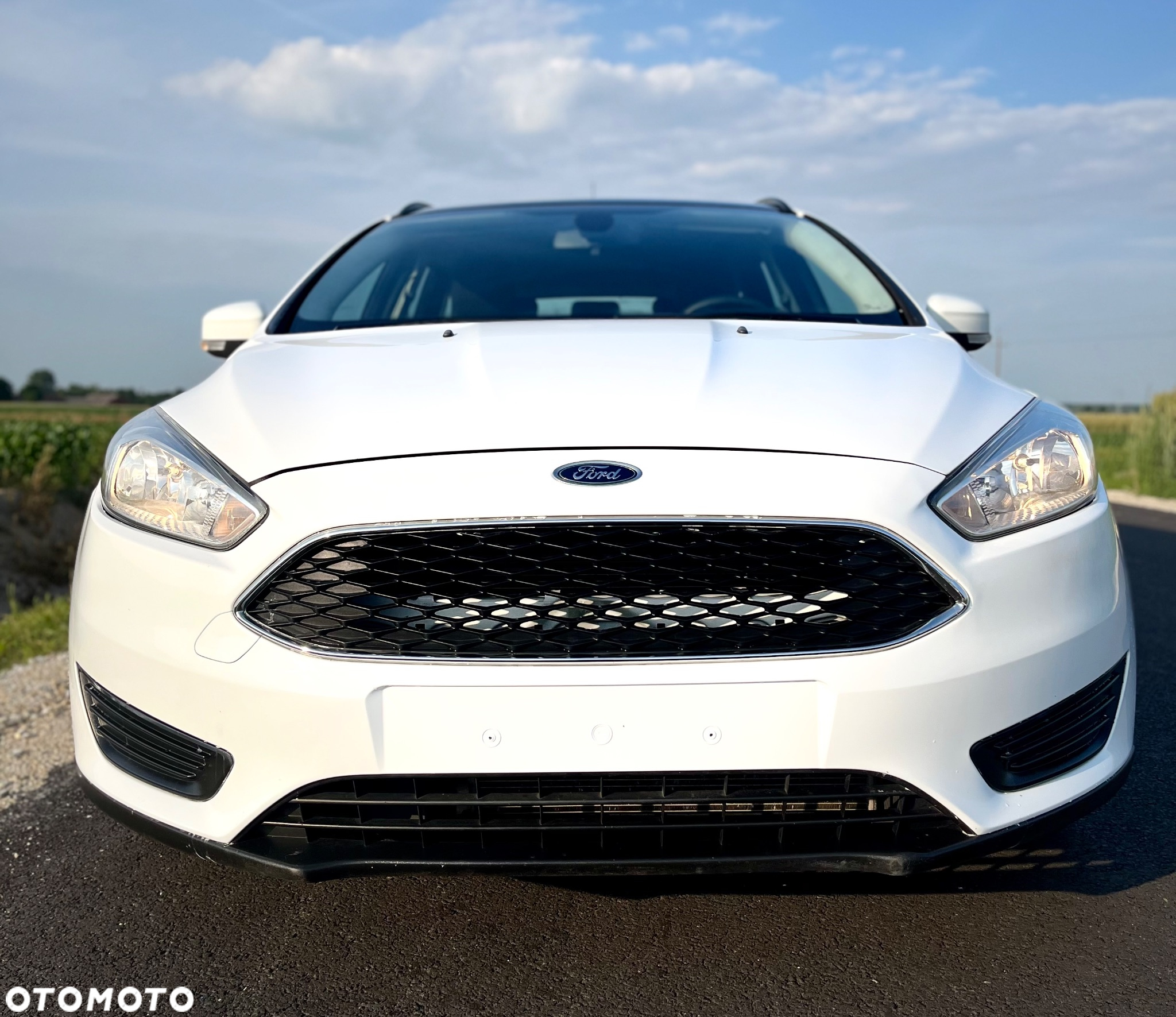 Ford Focus 1.6 TDCi DPF Start-Stopp-System SYNC Edition - 8
