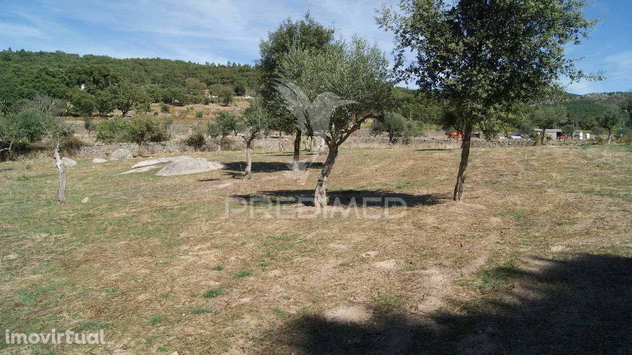 Terreno Rústico Reguengo- Portalegre - Grande imagem: 5/20