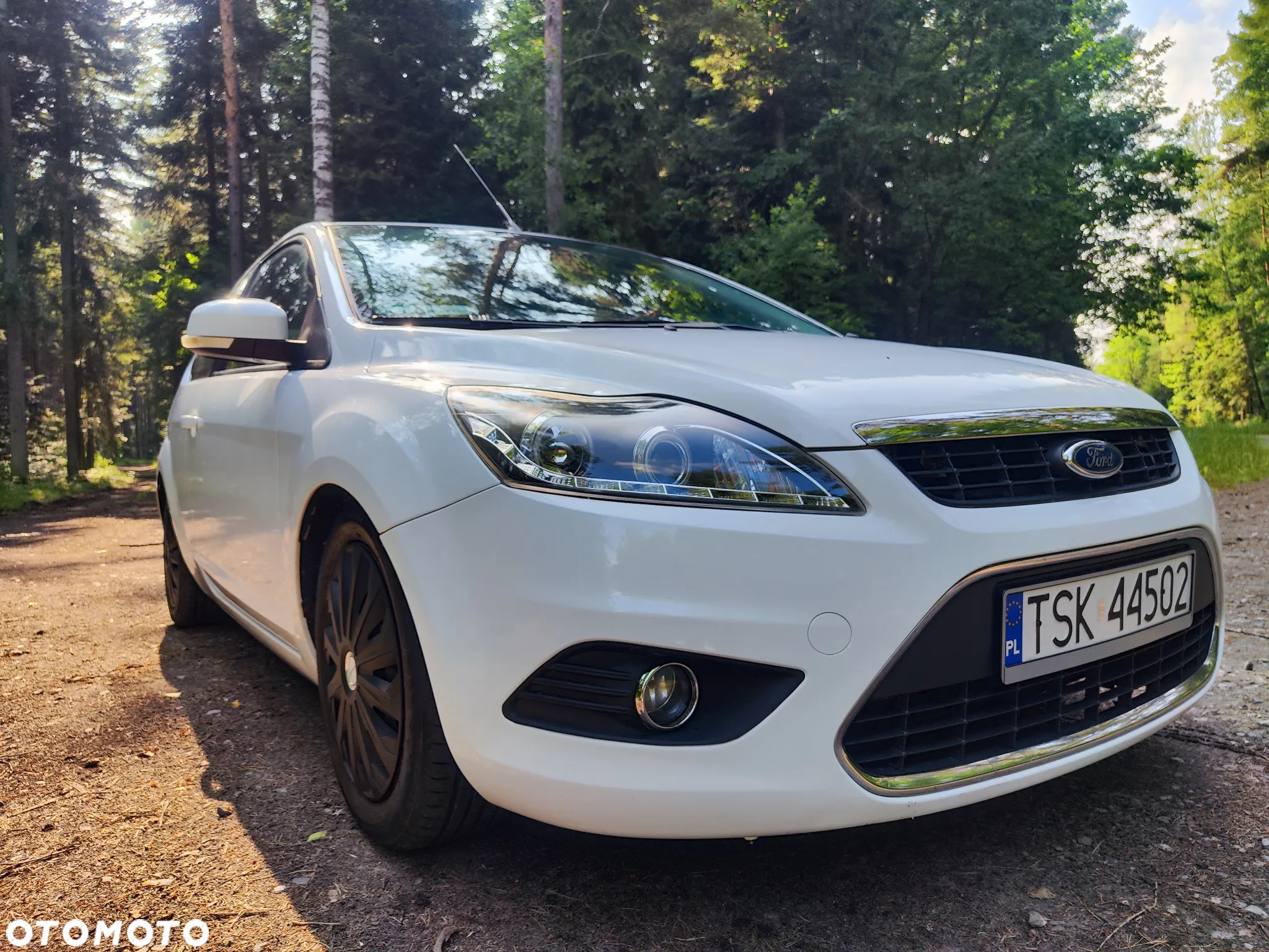 Ford Focus - 13