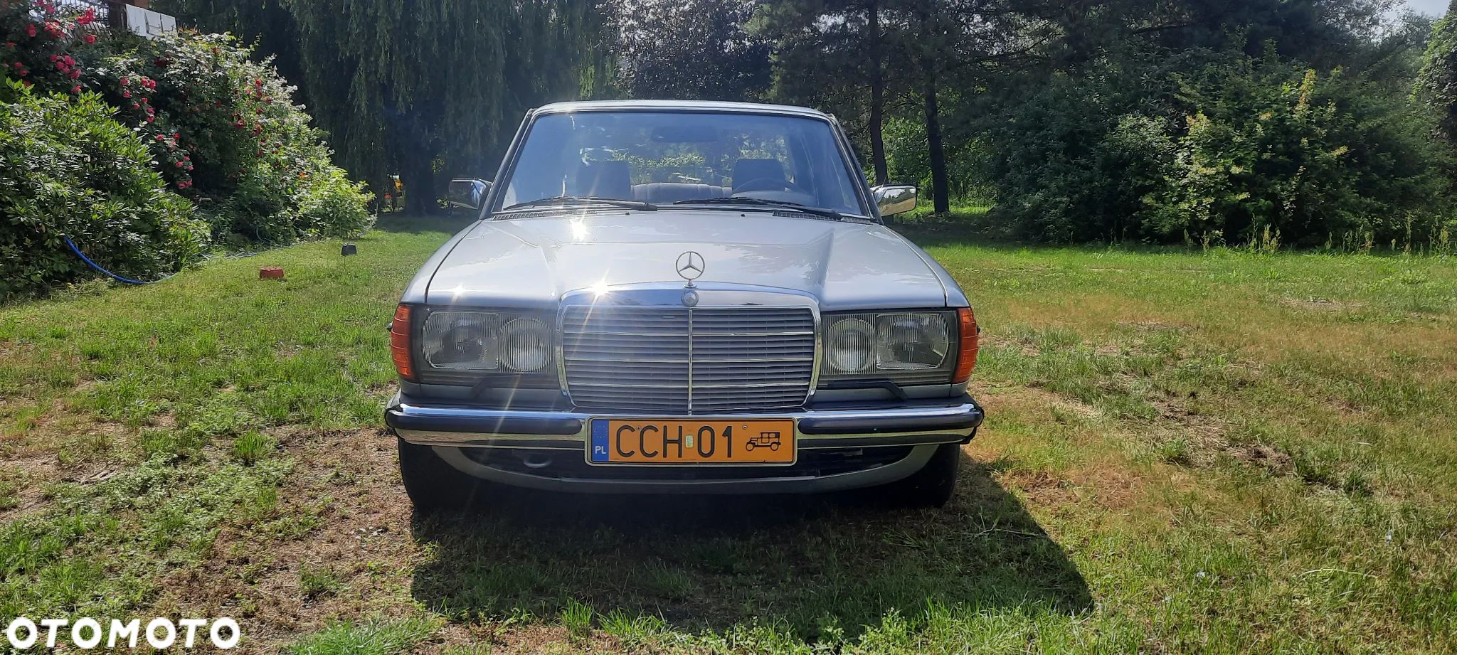 Mercedes-Benz W123 - 1