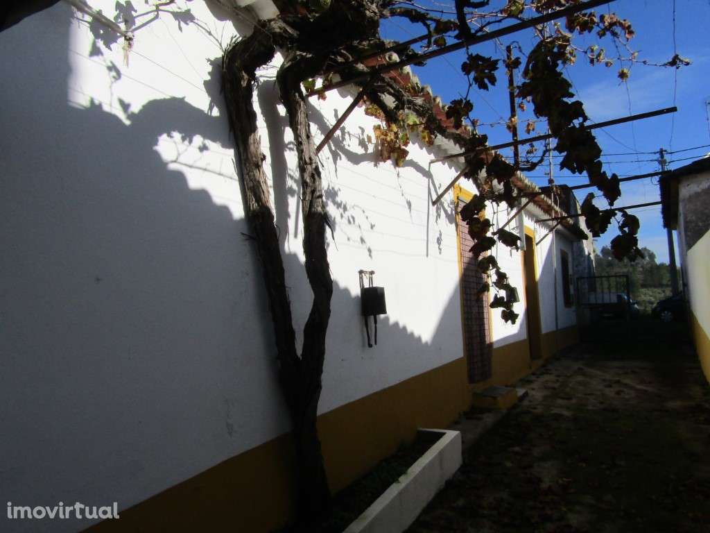 Casa do Páteo, Mouriscas, Abrantes - Grande imagem: 2/20