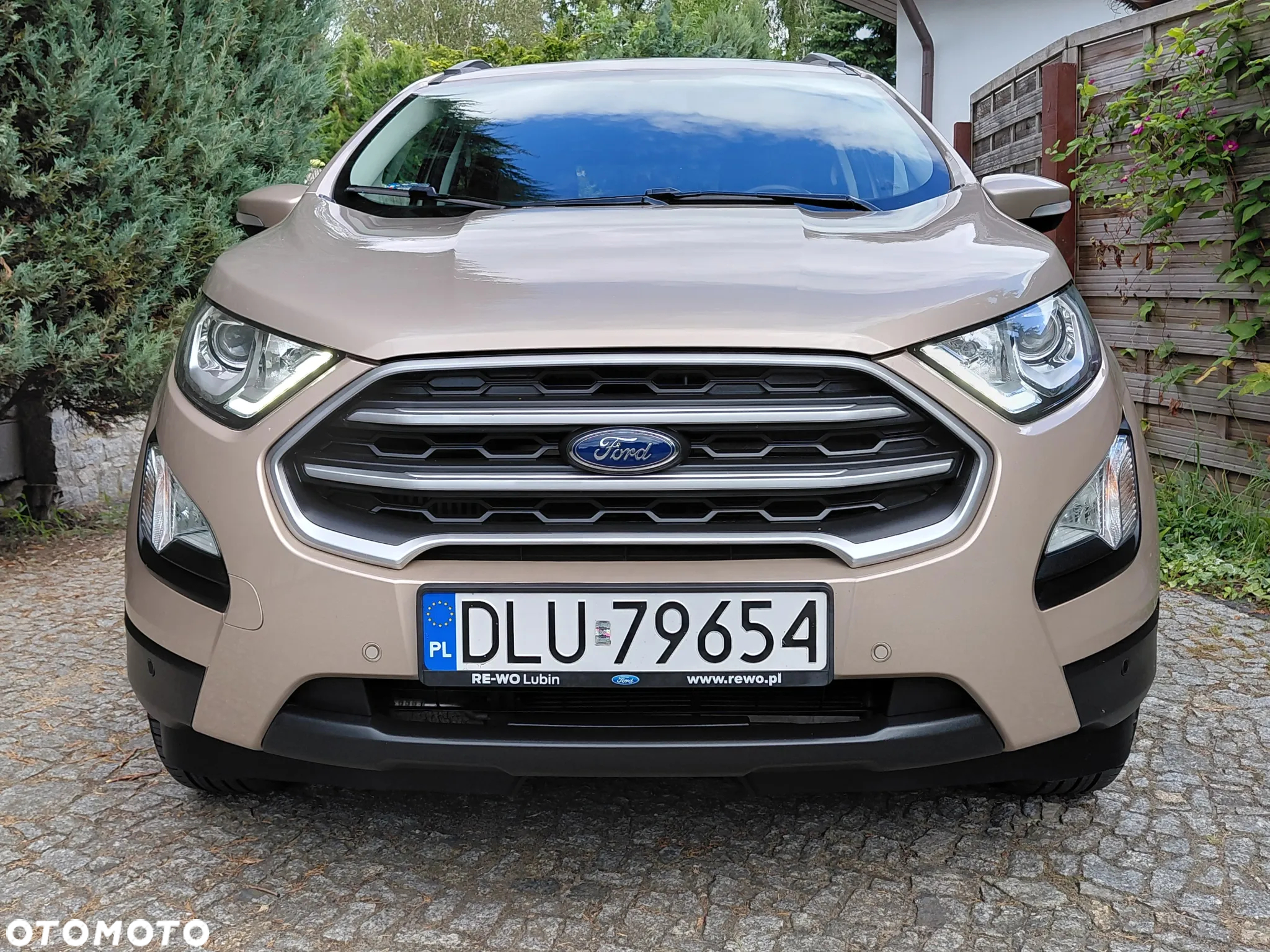 Ford EcoSport 1.0 EcoBoost GPF Titanium ASS - 25