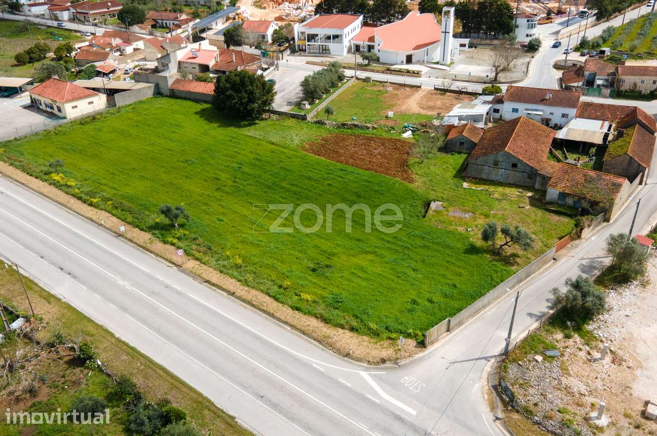 Terreno Urbanizável -Moleanos- Alcobaça - Grande imagem: 4/26