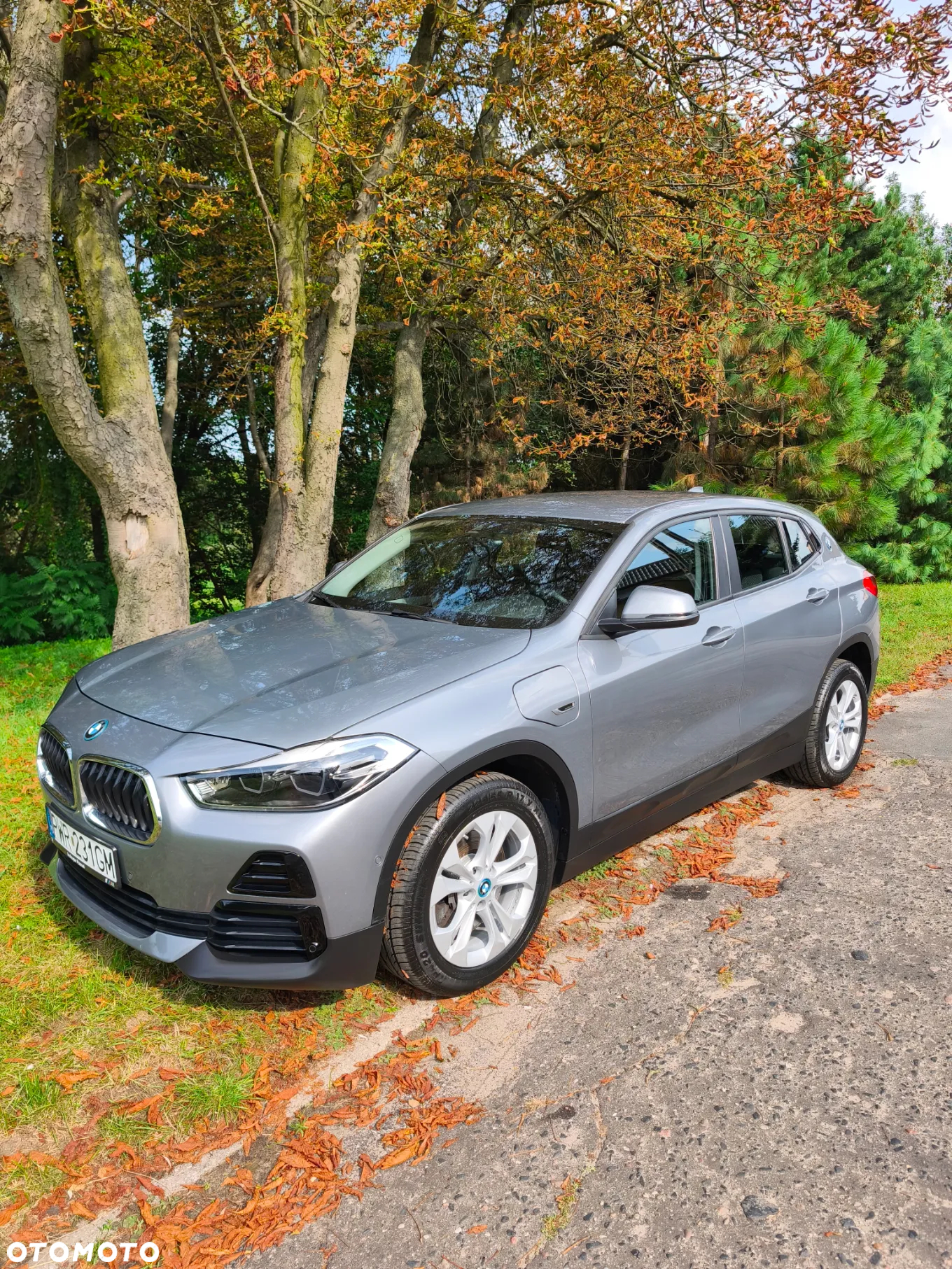 BMW X2 xDrive25e Advantage - 10